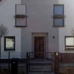 Foto Zwischenstand Kugelsteppenkirschen