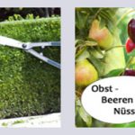 gartencentershop24_hecke-obst